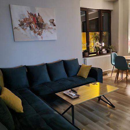 City Center Dream Apartment ティミショアラ 部屋 写真
