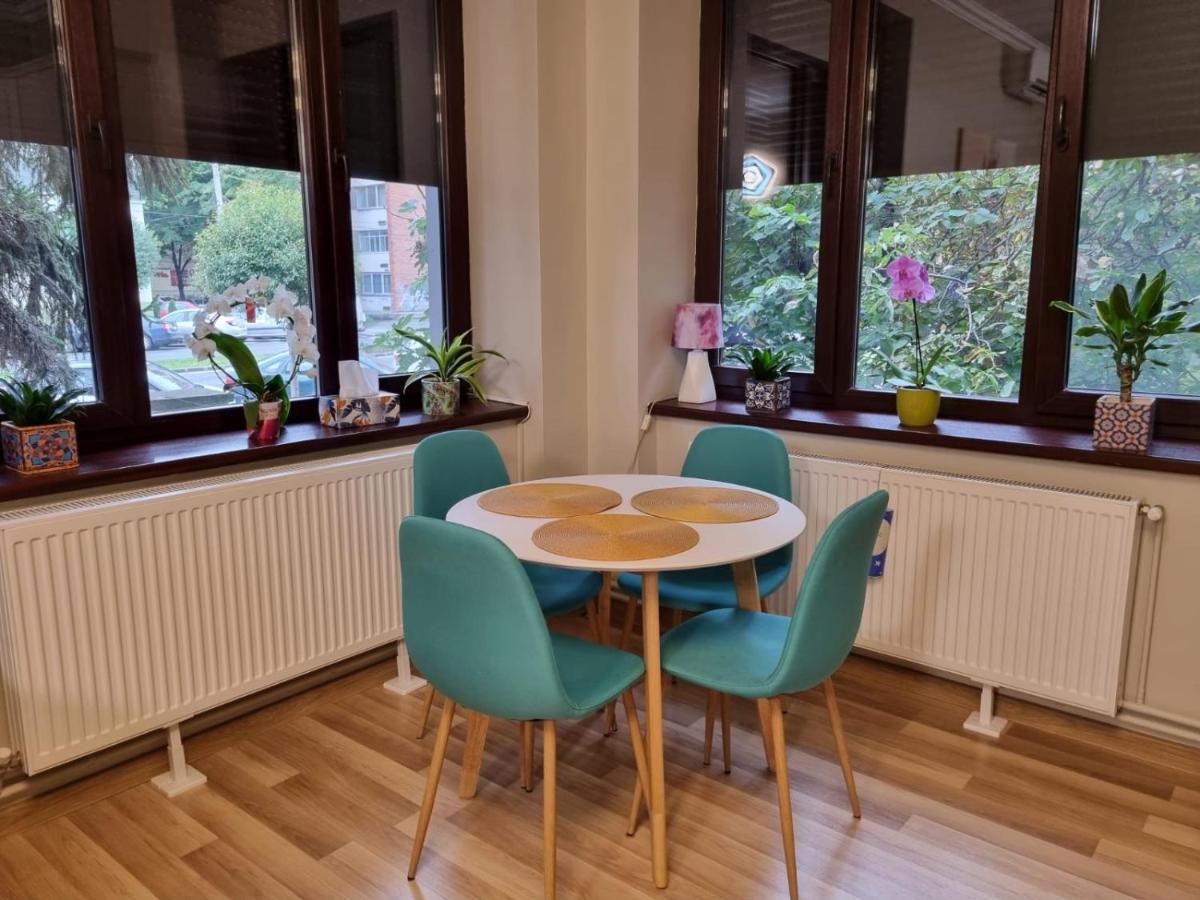 City Center Dream Apartment ティミショアラ エクステリア 写真