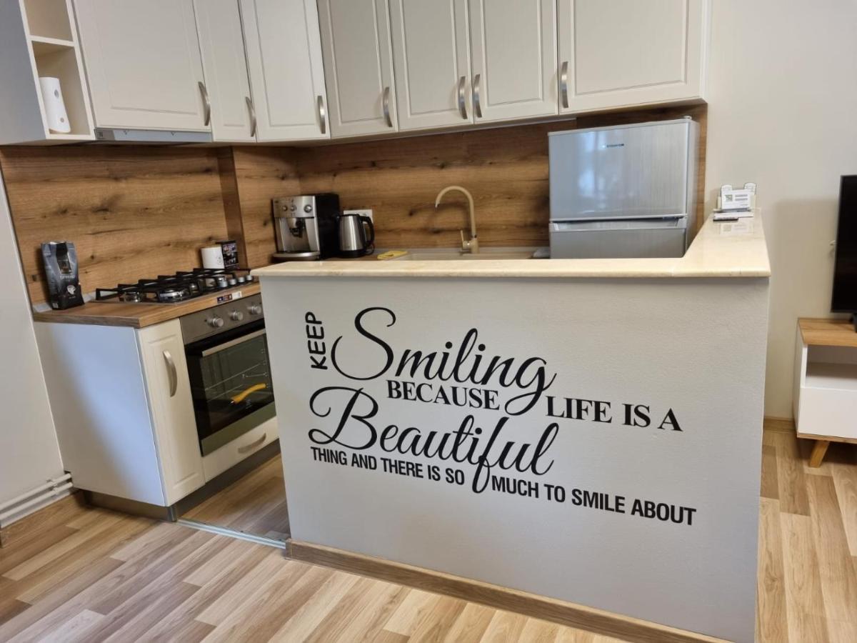 City Center Dream Apartment ティミショアラ エクステリア 写真