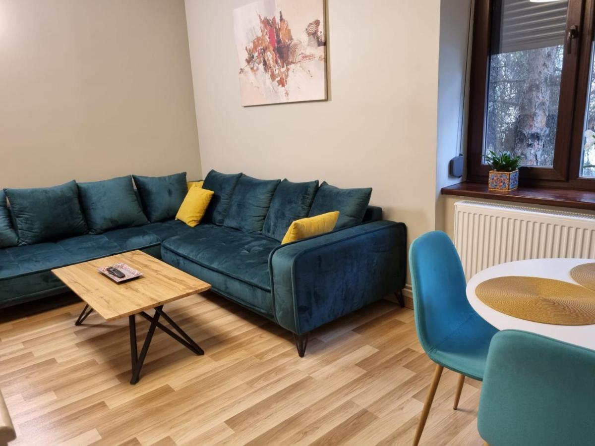 City Center Dream Apartment ティミショアラ エクステリア 写真