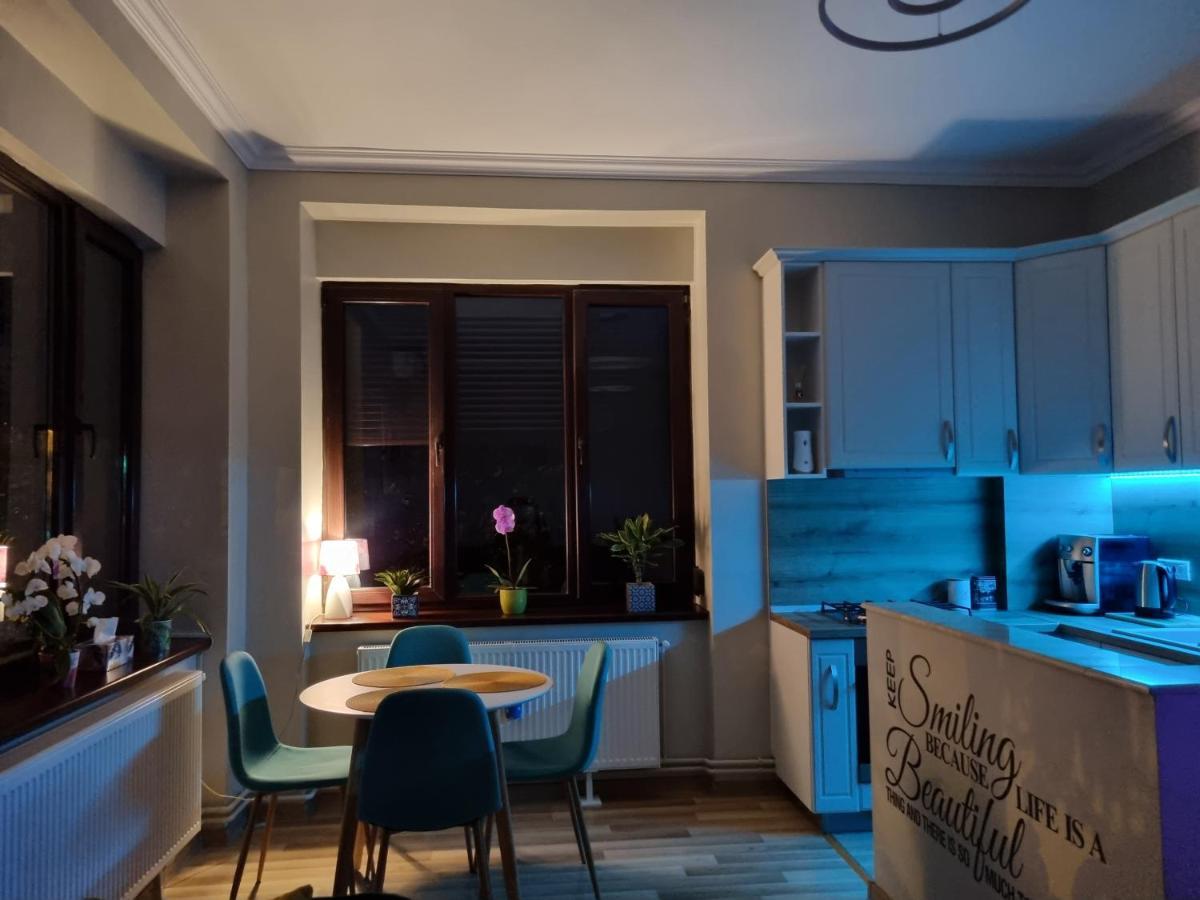 City Center Dream Apartment ティミショアラ エクステリア 写真