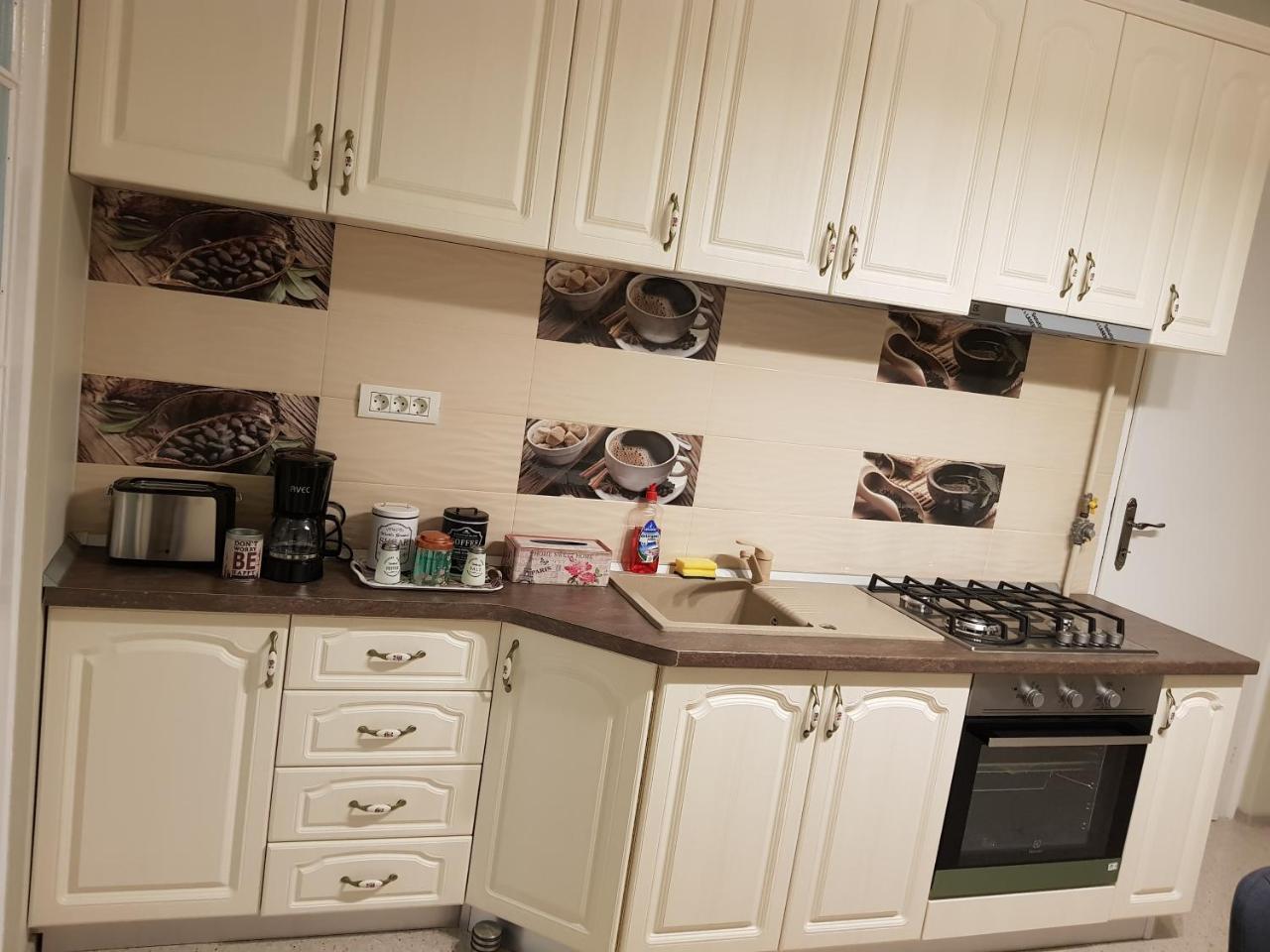 City Center Dream Apartment ティミショアラ エクステリア 写真